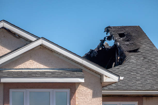 Licensed Content Restoration service in Monmouth Junction, NJ - Fire Damage Biloxi